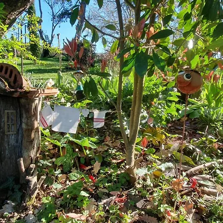 Pause Campagne - D'hotes Pouy-de-Touges